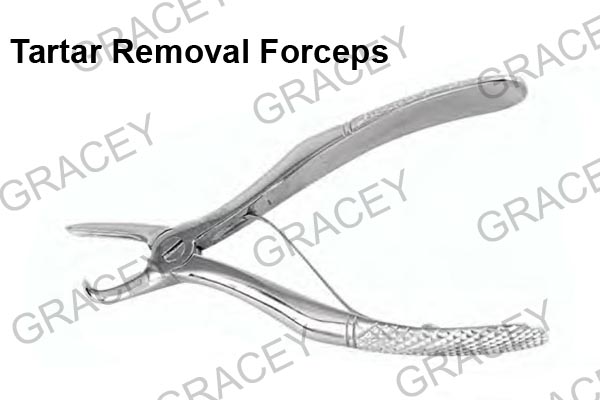 Gracey Tartar Removal Forceps 